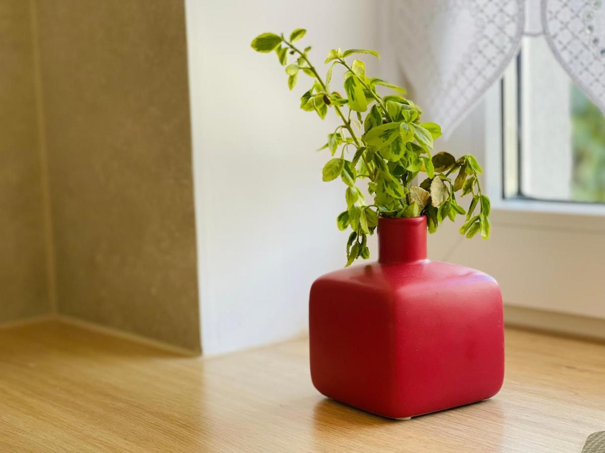 Dwie Sowy By Baltic Home Miedzyzdroje Exteriér fotografie